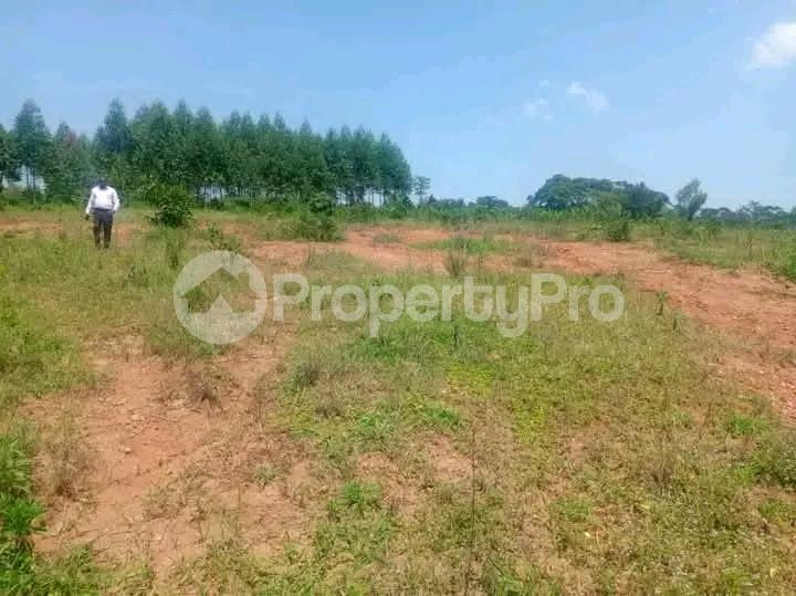 Land for sale Nakasanjja  Gayaza Wakiso Central - 0