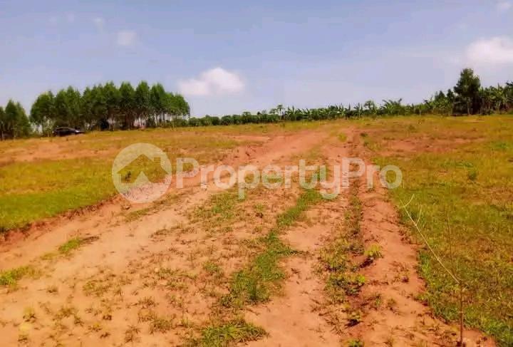Land for sale Nakasanjja  Gayaza Wakiso Central - 2