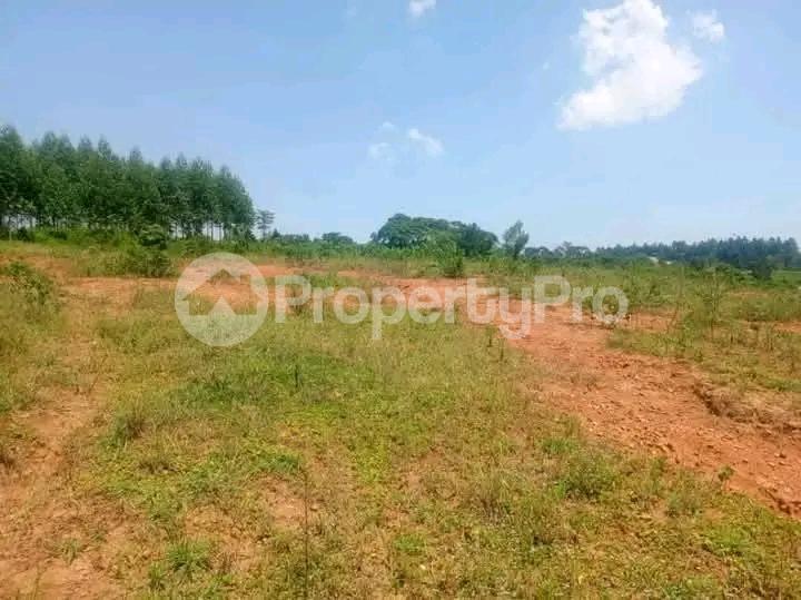 Land for sale Nakasanjja  Gayaza Wakiso Central - 1