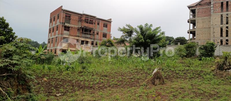 Land for sale Namugongo town  Kira Wakiso Central - 2