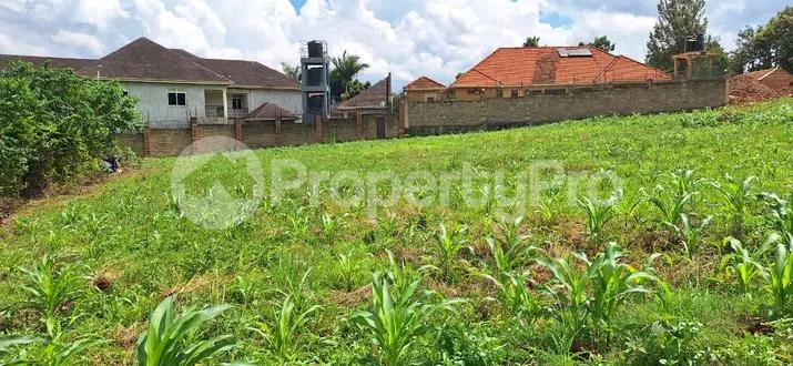 Land for sale Kira road  Kira Wakiso Central - 5