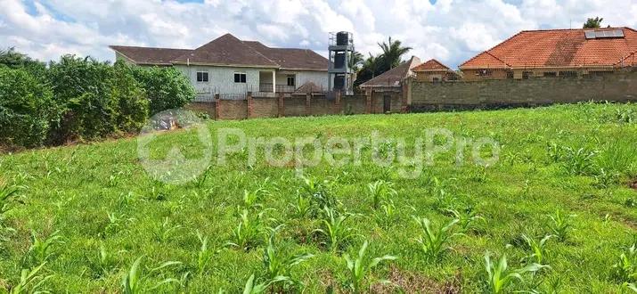 Land for sale Kira road  Kira Wakiso Central - 3