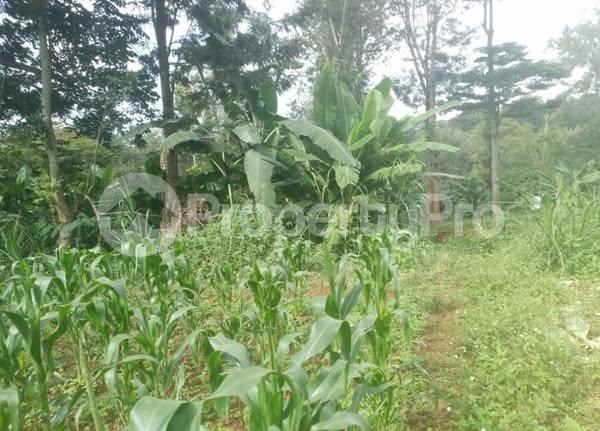 Land for sale Karen Nairobi