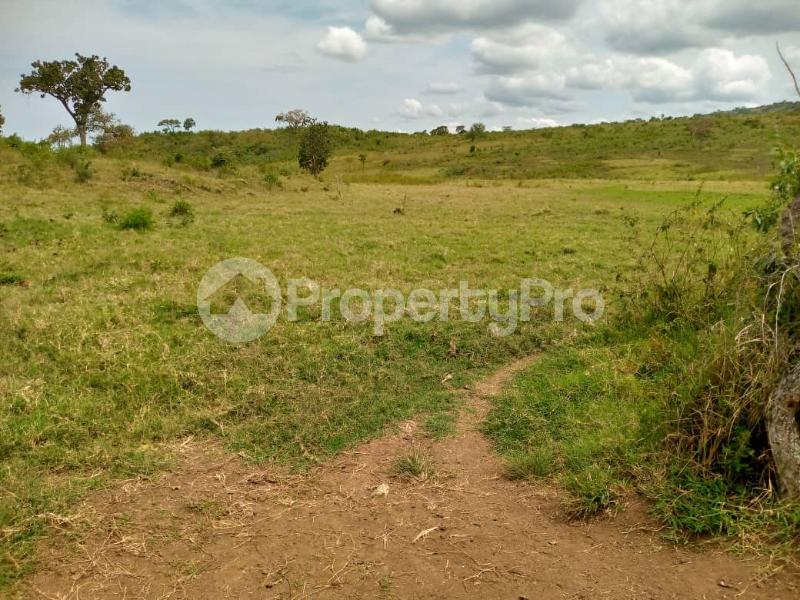 Land for sale Bugahya Hoima Western - 9