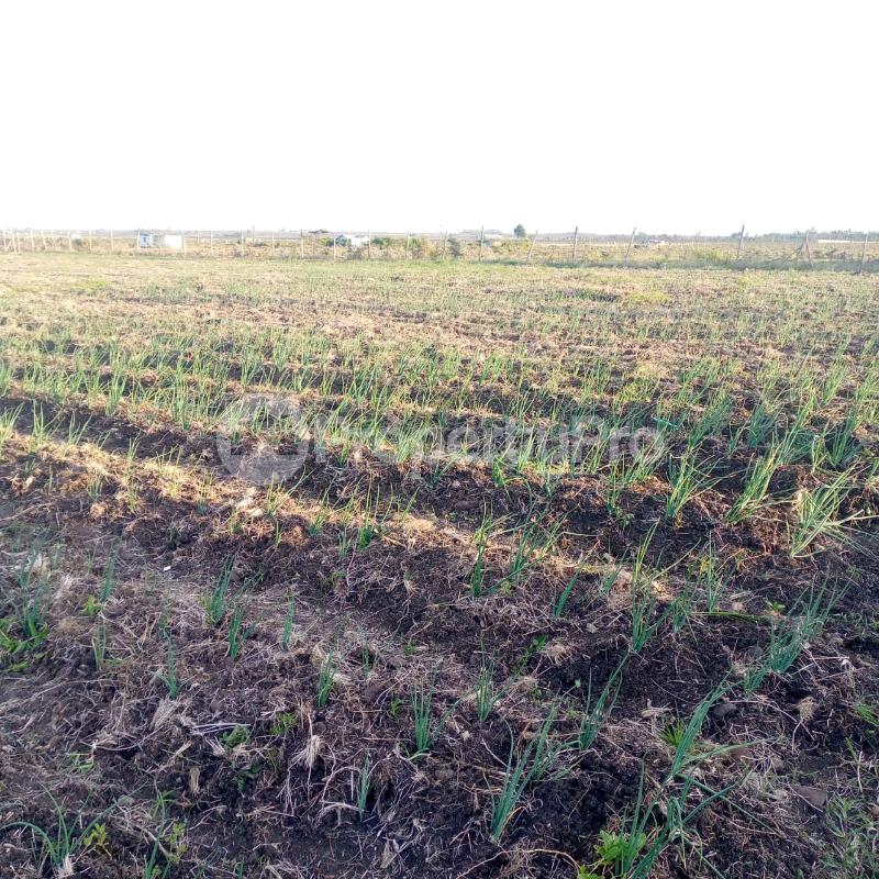 Land for sale Ongata Rongai Kajiado