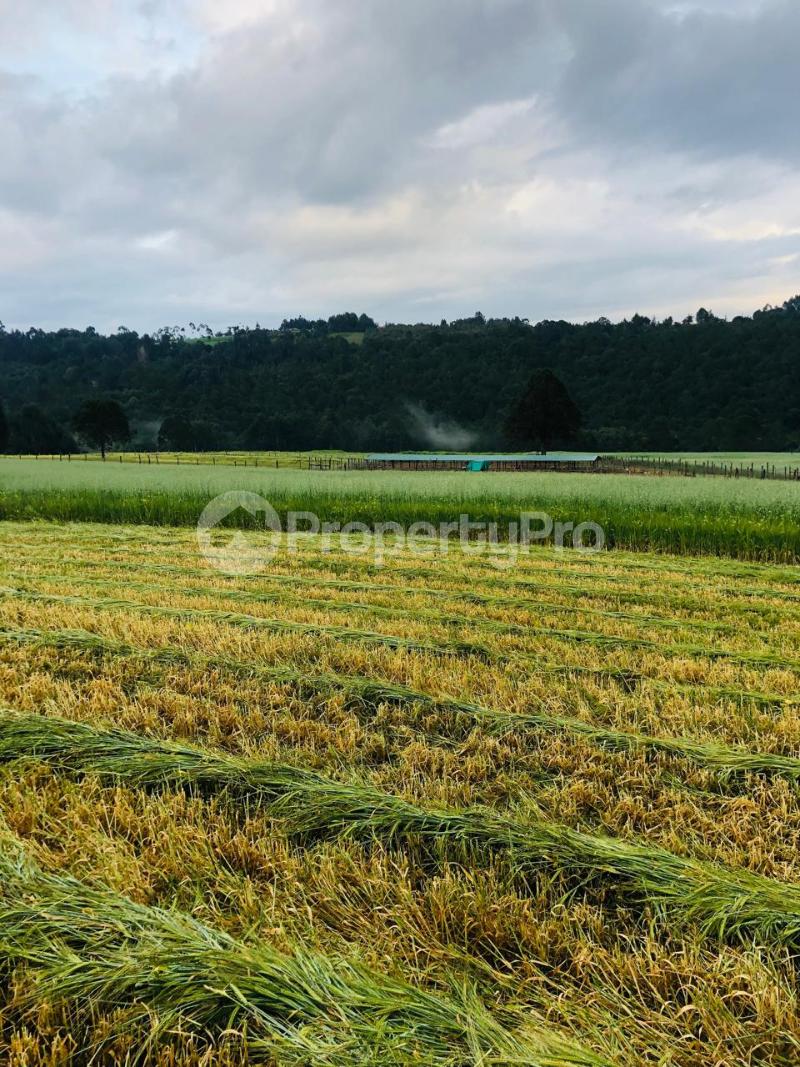 Agricultural Land for sale Ol Kalou Ol kalou Ol Kalou Nyandarua