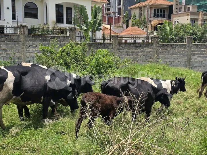 Land for sale Kyanja road  Kampala Central Kampala Central - 5