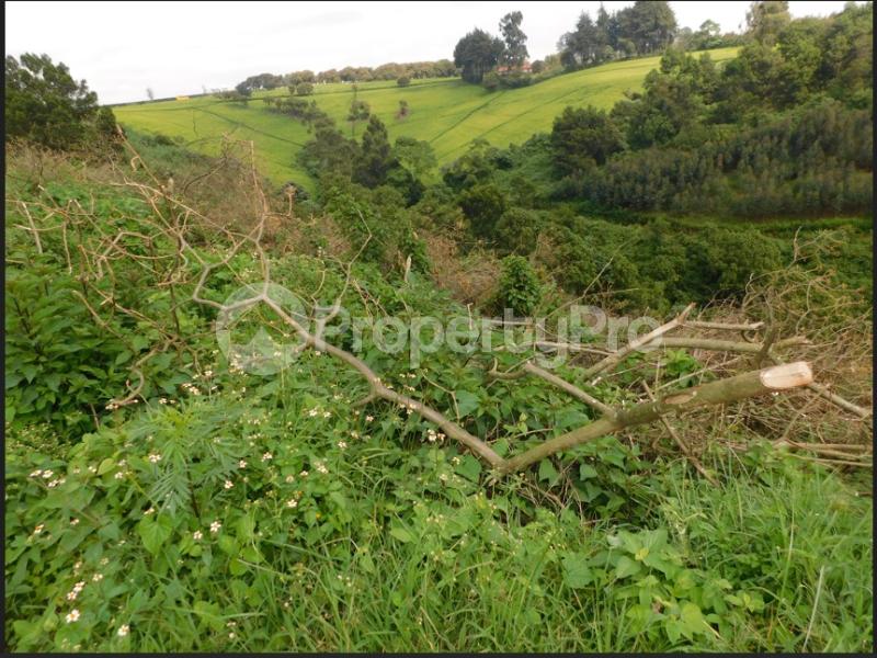 Land for sale Limuru Central Kiambu