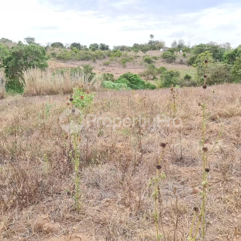 Land for sale Nanyuki Nanyuki