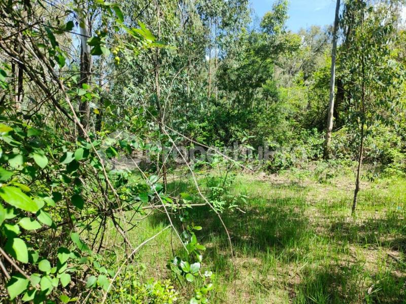 Land for sale Karen Nairobi