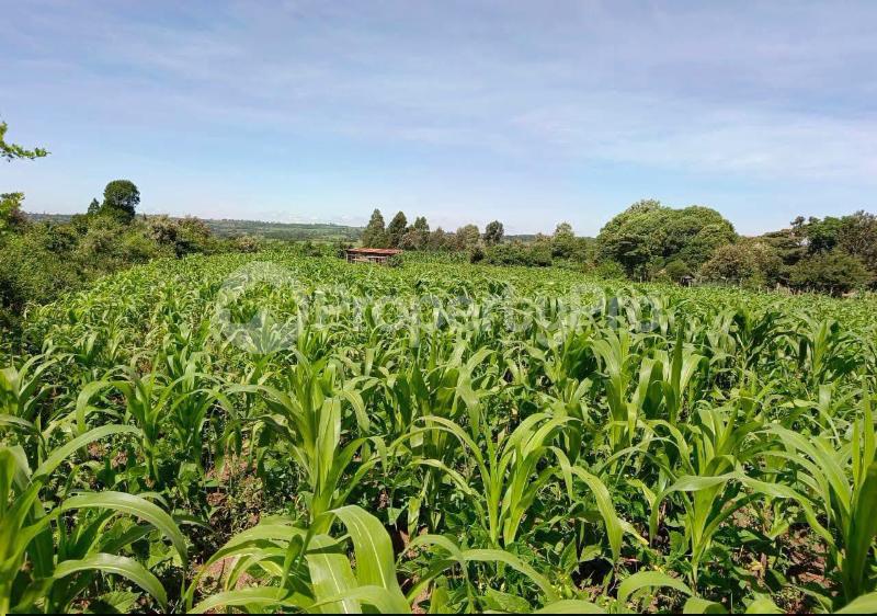 Land for sale Narok Narok