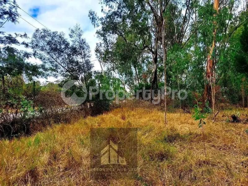 Flat&Apartment for sale Karen Nairobi