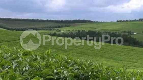 Land for sale Nandi Hills Nandi