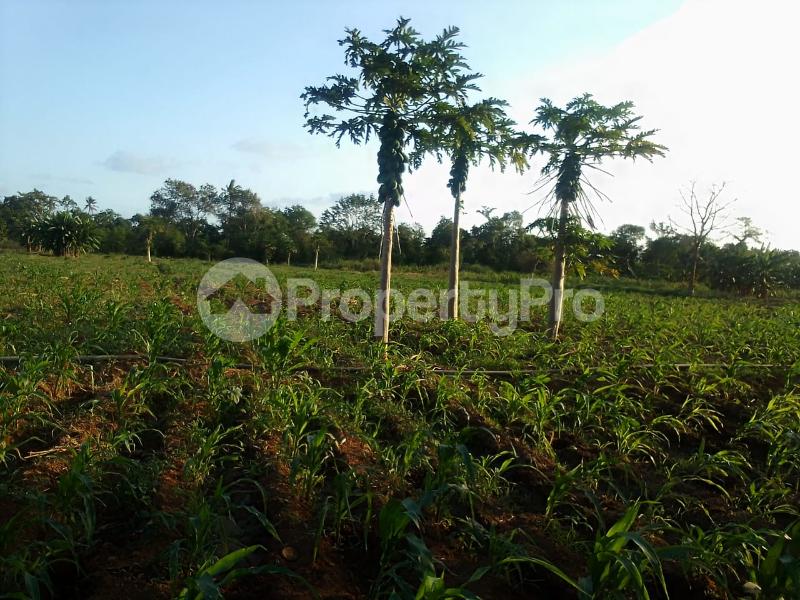 Land for sale Malindi Kilifi