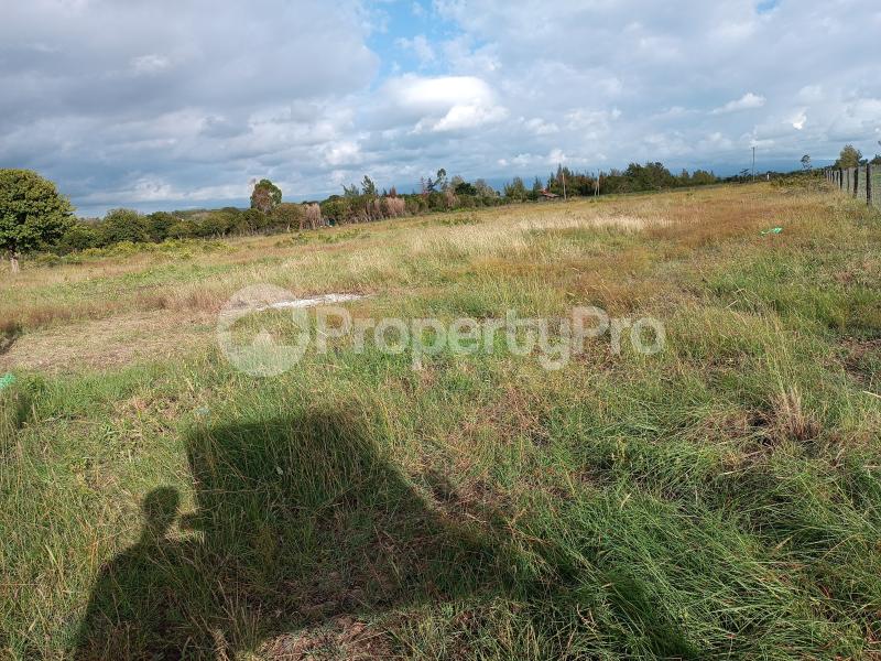 Farm for sale Narumoru Kieni Kieni Nyeri (PID 1AEPM) PropertyPro