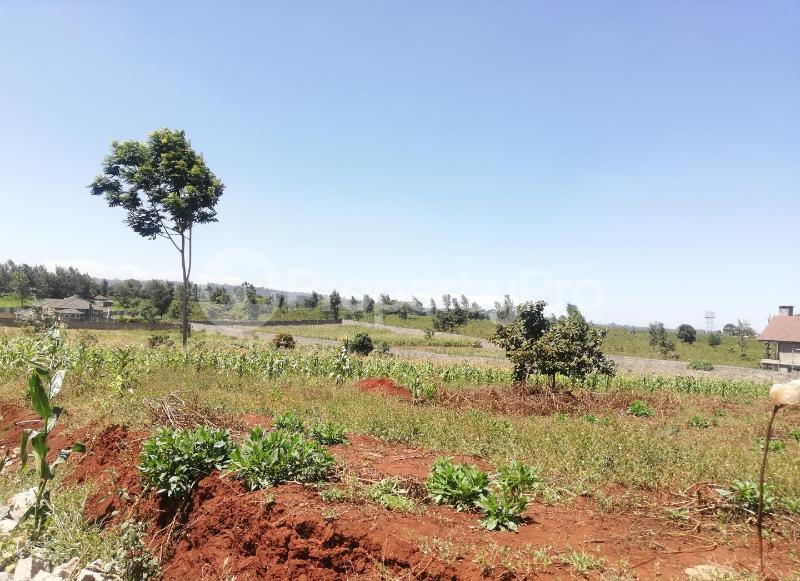 Land for sale Nairobi, Runda Runda Nairobi (PID 8ACTH) PropertyPro
