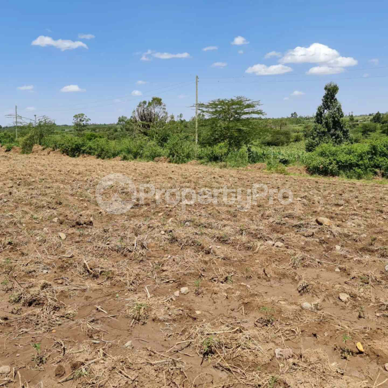 Land for sale Nanyuki Nanyuki