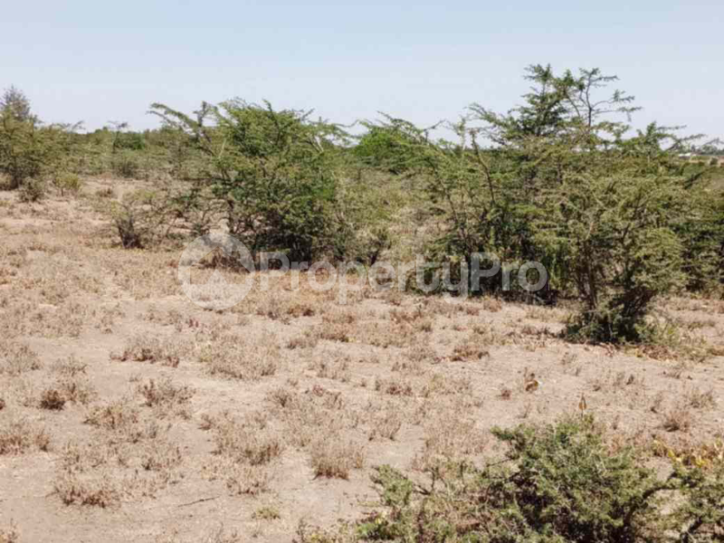 Land for sale Nanyuki Nanyuki