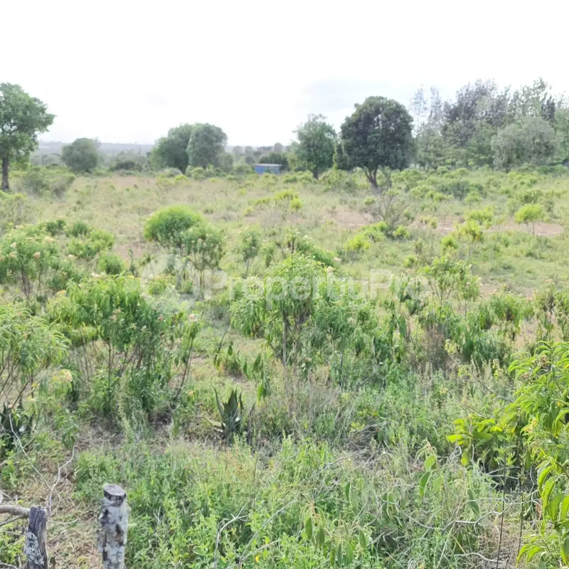 Land for sale Nanyuki Nanyuki