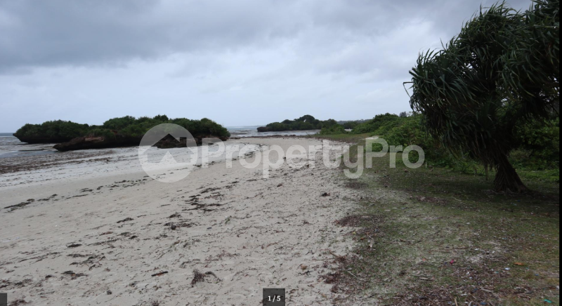 Land for sale - Msambweni Kwale - 0