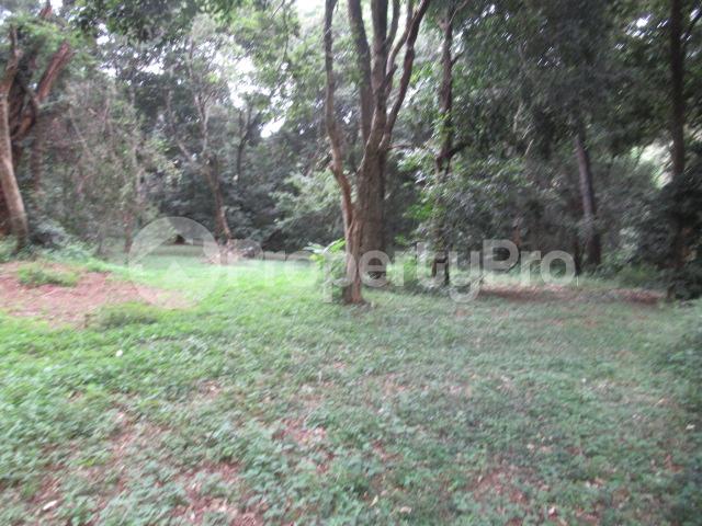 Residential Land for sale Mushroom Gardens Estate Kiambu Road Kiambu Road Nairobi
