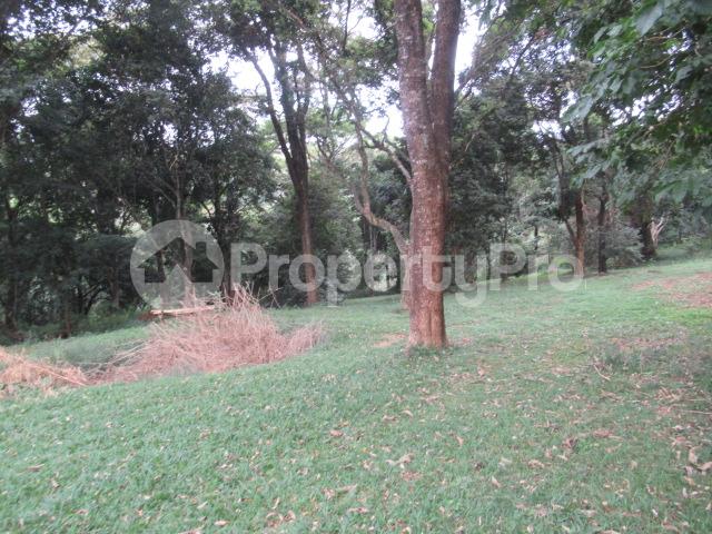 Residential Land for sale Mushroom Gardens Estate Kiambu Kiambu