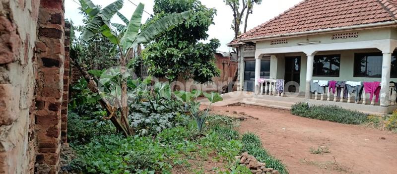 4 bedroom Bungalow Apartment for sale Kyambogo road  Kampala Central Kampala Central - 2