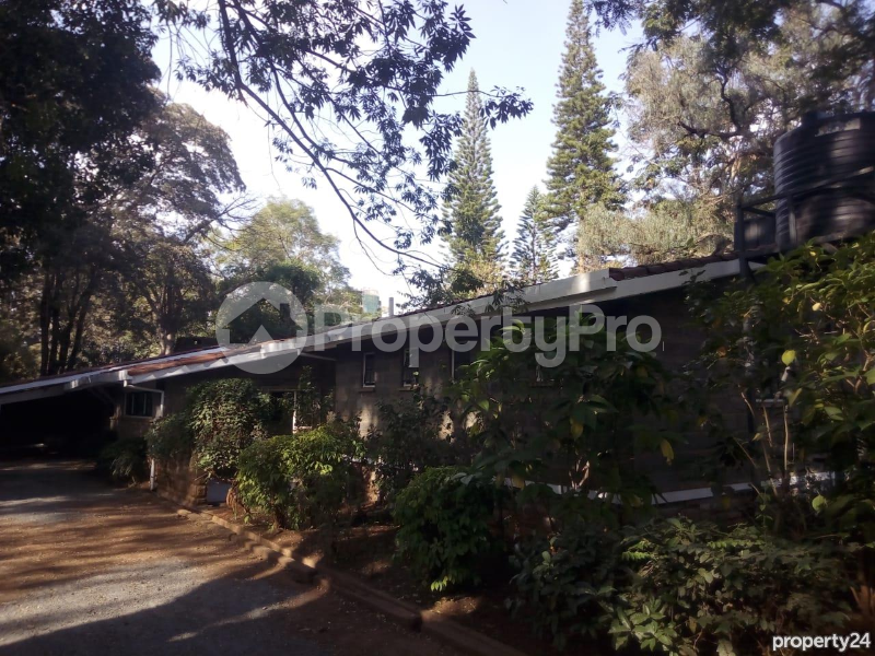 Bungalow Houses for rent Lavington Nairobi - 0
