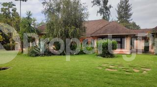 Houses for rent Karen Nairobi