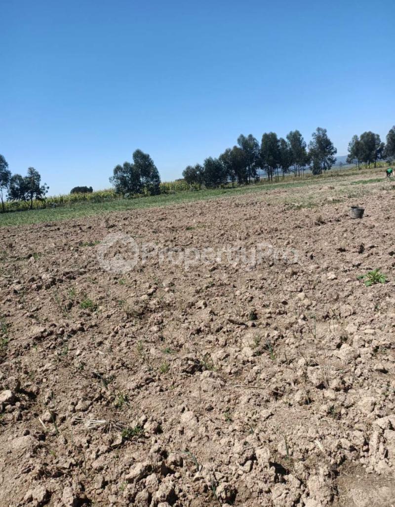 Land for sale Nyahururu Nyahururu