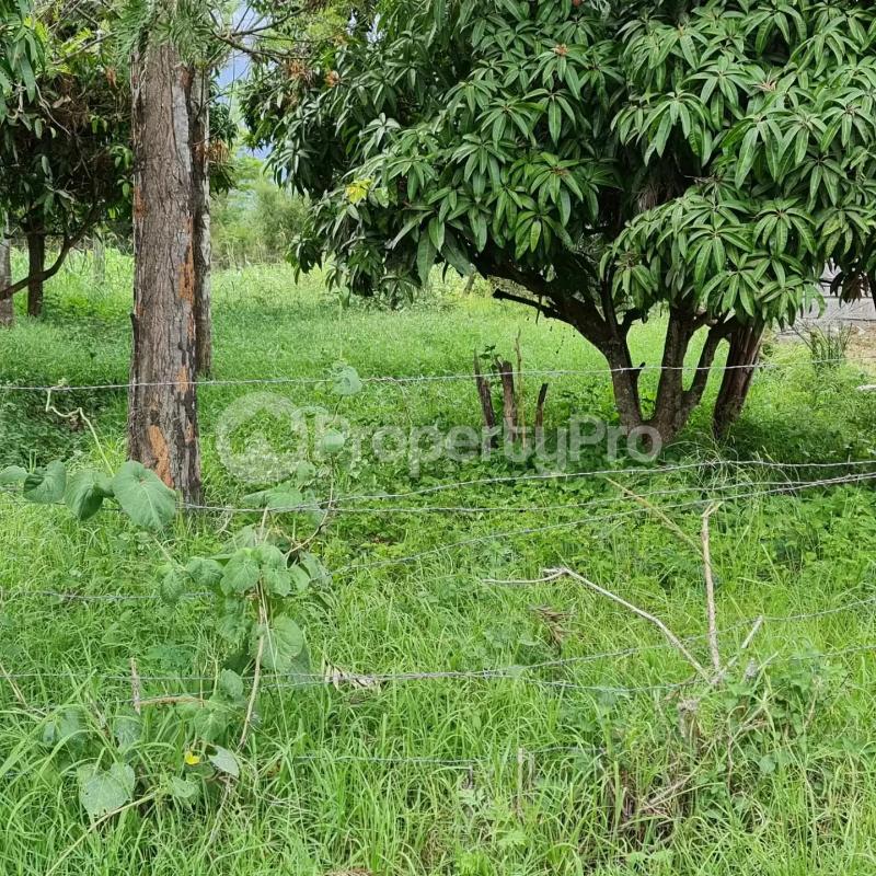 Land for sale Mangu Juja