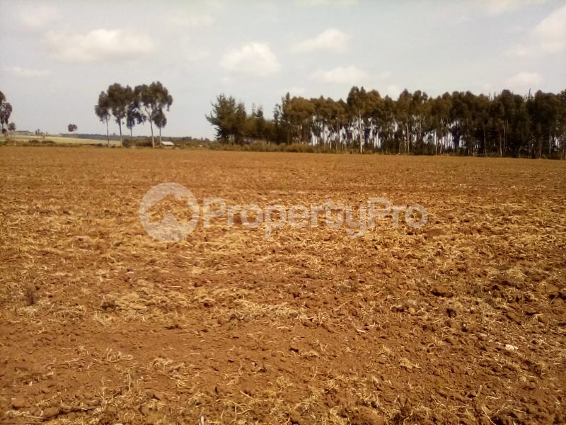 Agricultural Land for sale Timau North Imenti North Imenti Meru