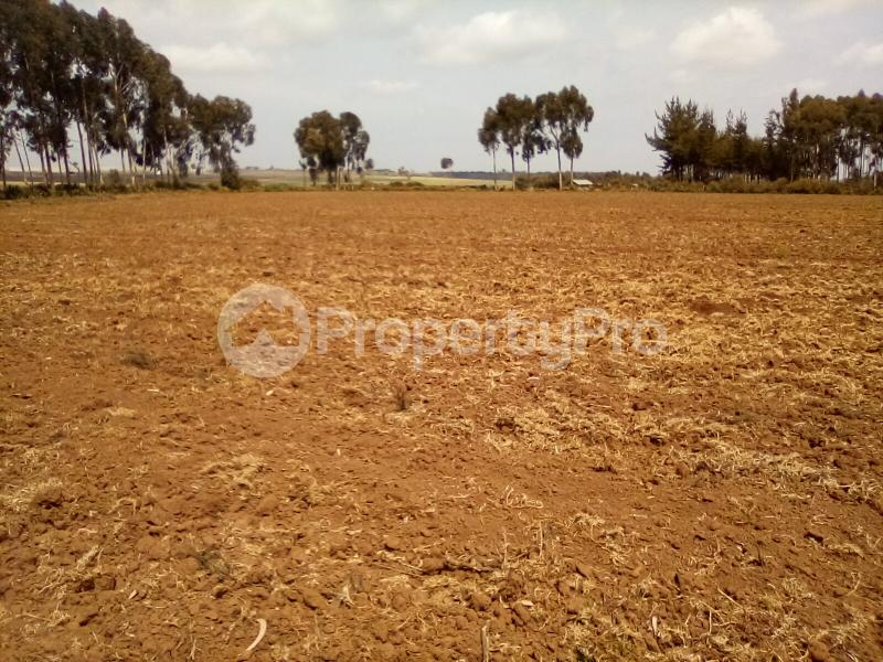 Agricultural Land for sale Timau Meru Meru