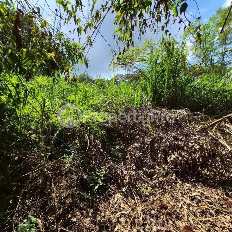 Land for sale Kitisuru Nairobi