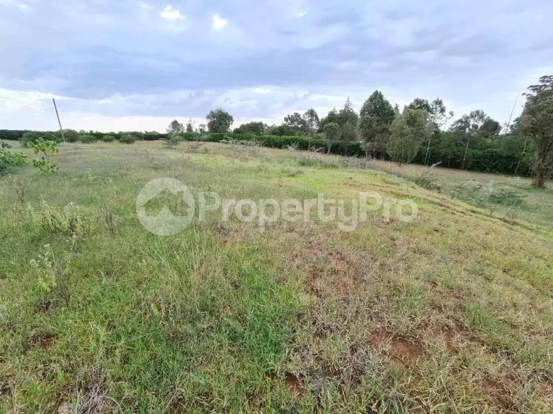 Land for sale Nanyuki Nanyuki - 0