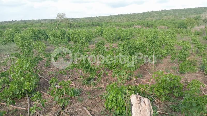 Land for sale Malindi Kilifi