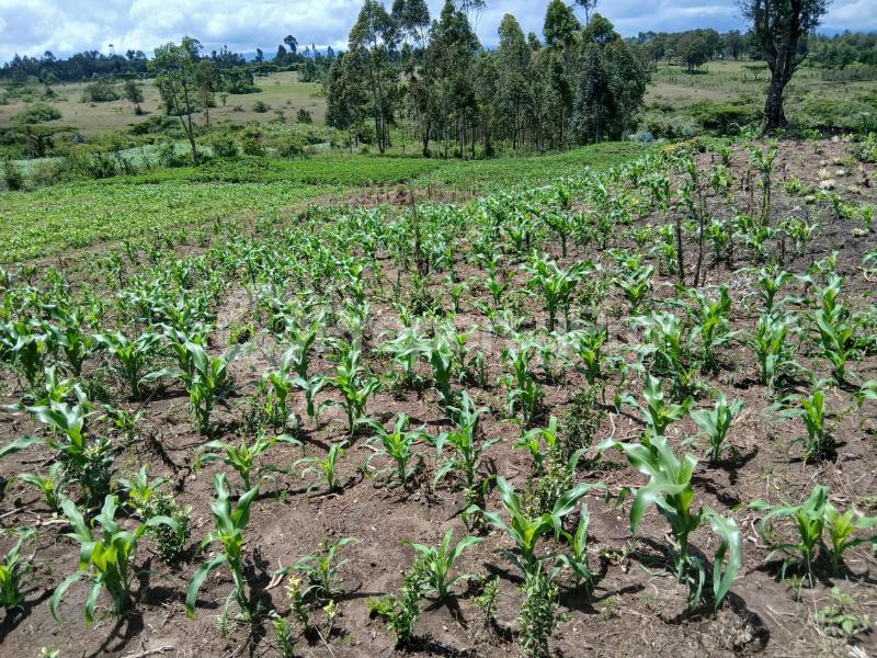 Land for sale Kisaju Kitengela