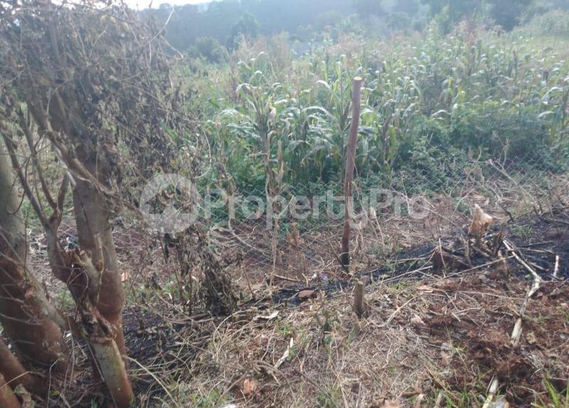 Land for sale Limuru, Tigoni Tigoni Limuru (PID 2ADDD) PropertyPro