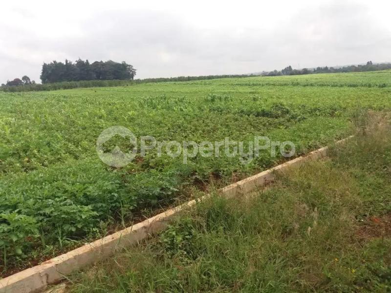 Flat&Apartment for sale Kitisuru Nairobi