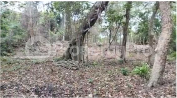 Land for sale Diani Mombasa