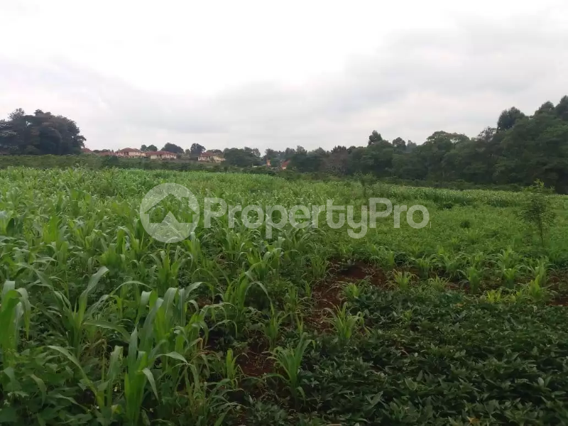 Land for sale Kitisuru Nairobi