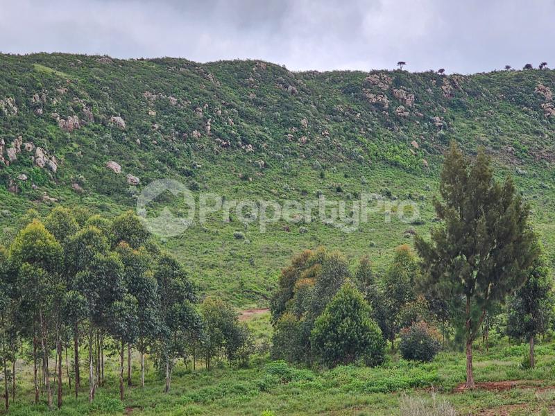 Land for sale Nachu Kiambu