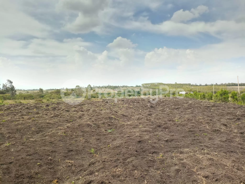 Land for sale Kiserian Kiserian