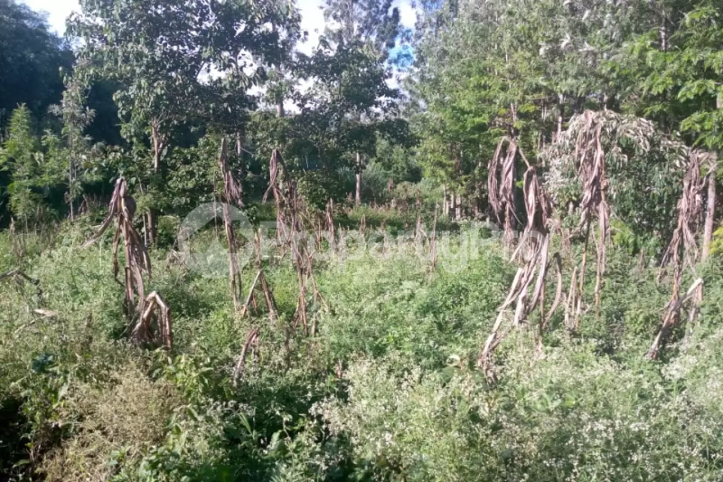 Land for sale Kiserian Kiserian