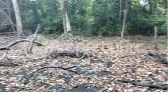 Land for sale Diani  Ukunda Kwale