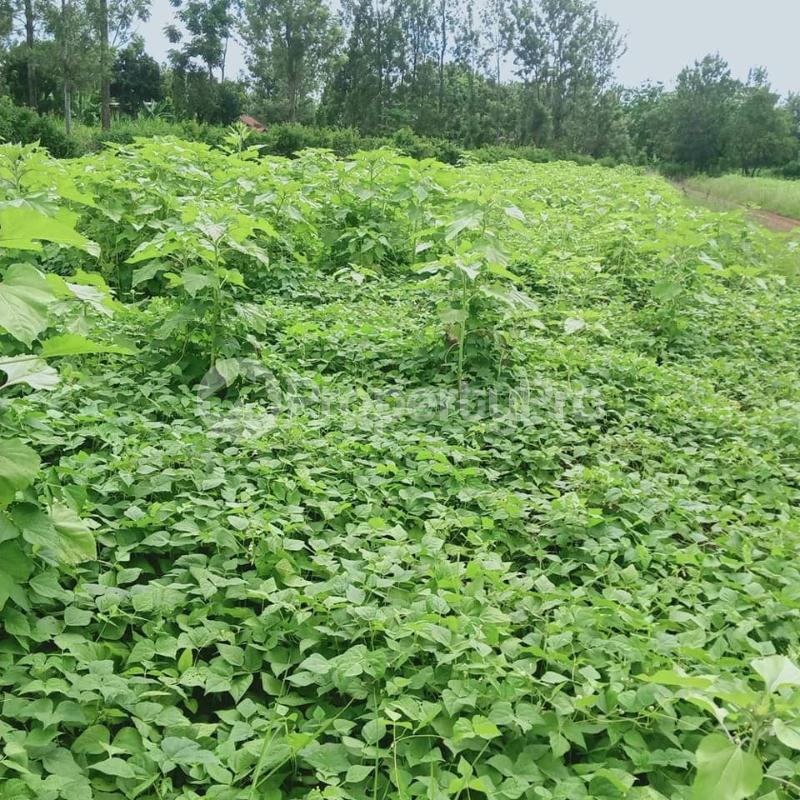 Land for sale Karen Nairobi