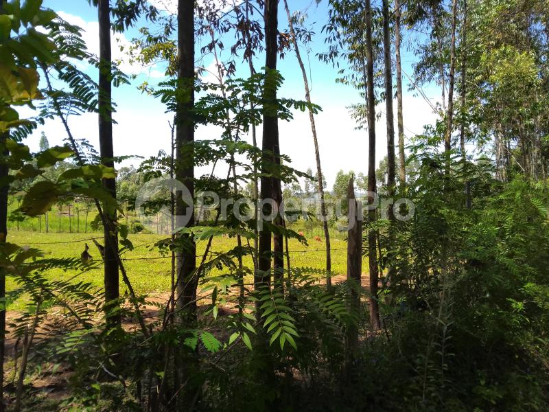 Farm for sale Awendo, off Rapogi Road, Uriri Uriri Migori (PID 3AJVS