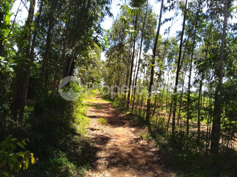 Farm for sale Awendo, off Rapogi Road, Uriri Uriri Migori (PID 3AJVS