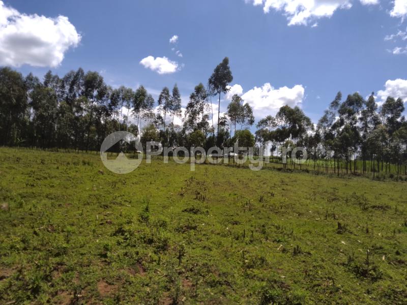 Farm for sale Awendo, off Rapogi Road, Uriri Uriri Migori (PID 3AJVS
