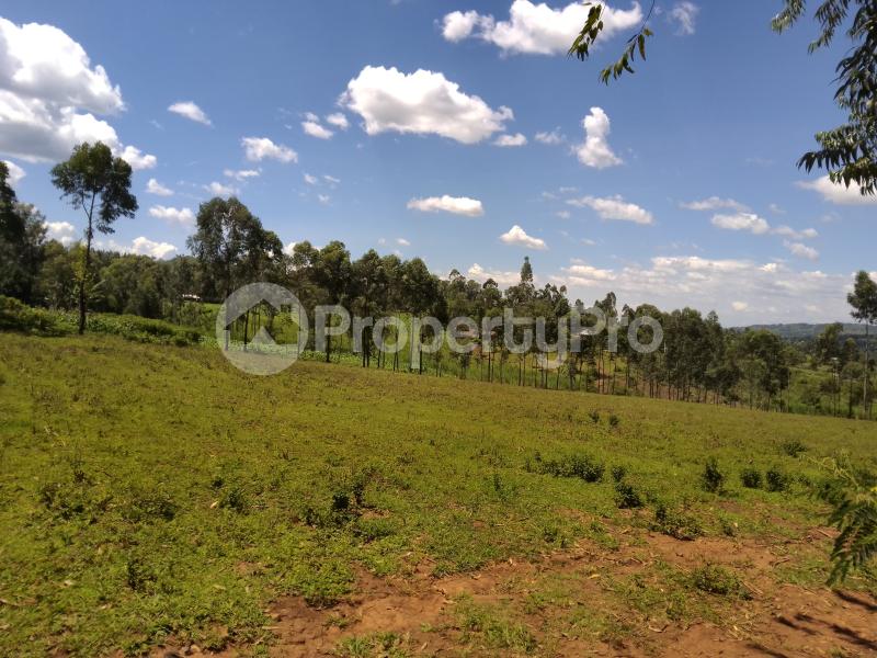 Farm for sale Awendo, off Rapogi Road, Uriri Uriri Migori (PID 3AJVS
